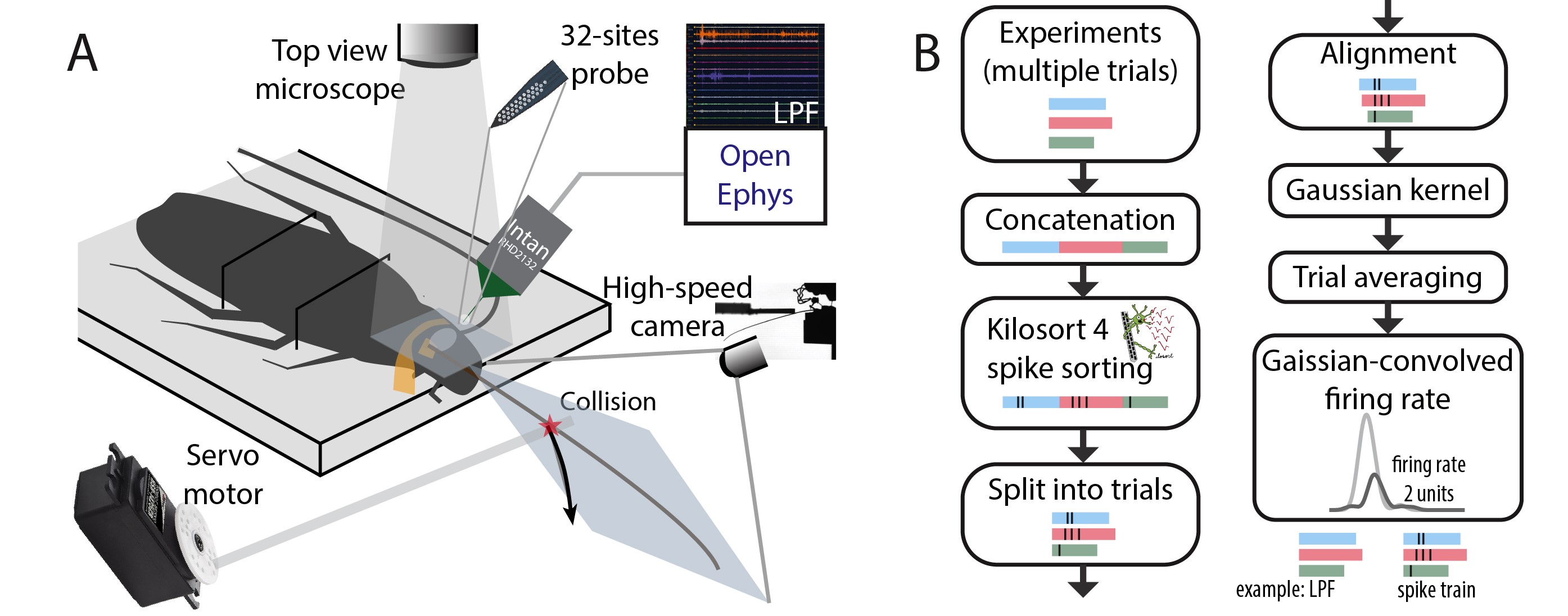 ephys